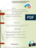 Informe Opinión de Auditoría Limpia