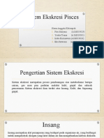 Sistem Ekskresi Pisces