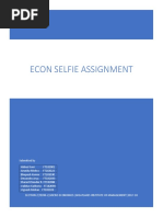 Econ Selfie Assignment