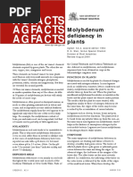 Agfacts Agfacts Agfacts: Molybdenum Deficiency in Plants