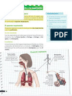 APARATOS REPIRATORIO Y EXCRETOR Lectura y Ejercicios