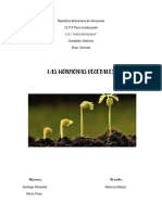 Informe de Ciencias de Las Plantas PDF