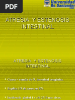 Atresia y Estenosis Intestinal