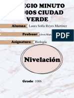 Trabajo de Nivelación