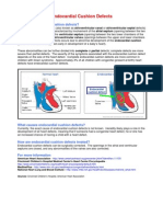 Endocardial Cushion