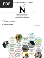 Equipos de Geología Sem 2