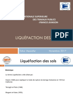 TM Liquefaction FINAL