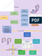 Estructura Del ARN