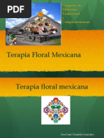 Terapia Con Flores Mexicanas