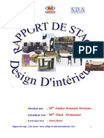 Rapport de Stage Dolidol