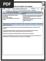 Fichas Descriptivas