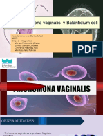 Trichimona Vagianles y Balantidium Coli