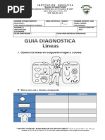 Guia Diagnostica Artistica