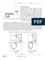 Cell Membrane Bubble Lab