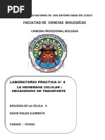 Practica N°2 Reconocimiento de Materiales y Equipos de Laboratorio