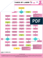 Stages of Labor Flowchart