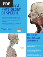 Anatomy & Physiology of Speech