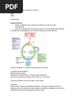 CL2 Tratamientos y Efectos Secundarios en Cáncer