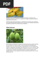 Geociencia, Frutas Del Pacifico Colombiano