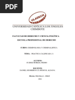 Caso Alexander Manuel Pérez Gutiérrez "Aliasgringasho"