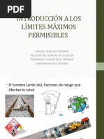 Introducción A Los Limites Máximos Permisibles