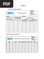 Formatos