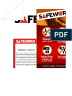 Programa Safework