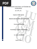 Situacion de Credito Agricola en Honduras