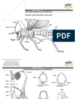 Laminas Pract 02