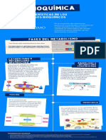 Procesos Bioquímicos