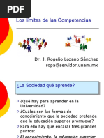 Los Límites de Las Competencias Elaborada A Partir de Ronald Barnett