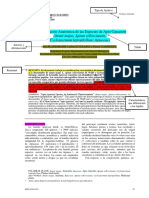 Histologia Del Apio