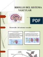 1desarrollo Del Sistema Vascular