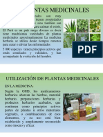 Las Plantas Medicinales