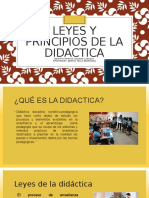 Leyes y Principios de La Didactica