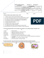 Prueba Celula 5º