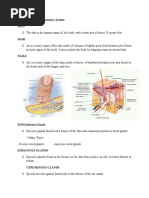 The Organs of Integumentary System