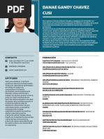 Cv. Danae Chavez 2021 Documentado