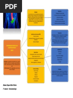 Mapa Conceptual - Erge - Dayene Gallon Oliveira