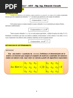 Clase Consulta Determinantes