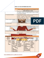 Evidencia: Aa1-Ev3 Informe Ejecutivo: Generalidades de La Auditoría Interna