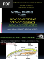 Material Didáctico Visión: Unidad de Aprendizaje Cordados Chordata