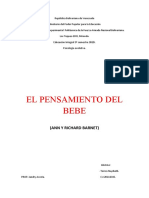 El Pensamiento Del Bebé