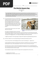 The Market Square Dog: Name: Class