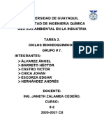 Tarea Ciclos Biogeoquimicos Grupo 7