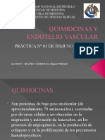 Quimiocinas y Endotelio Vascular - Mic