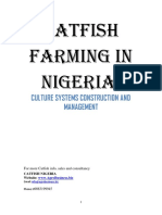 Catfish Farming in Nigeria