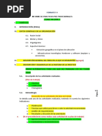 Estructura para El Informe de PPP 1ER INFORME