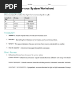 Nervous System Worksheet