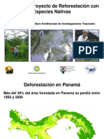 Proy Reforestacion